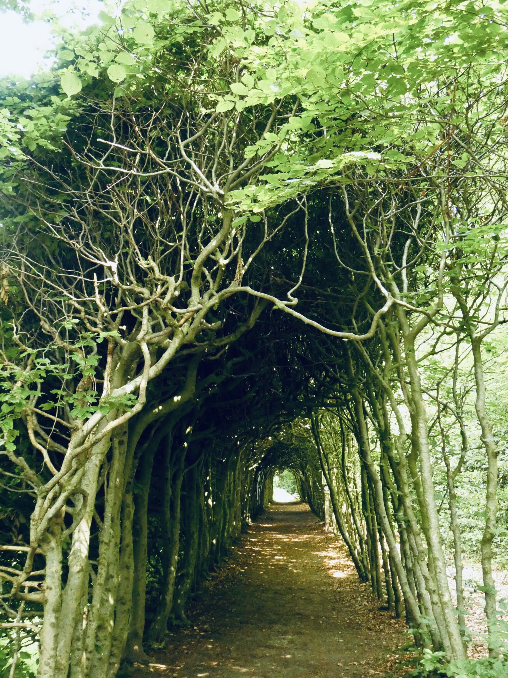 Landgoederen rond Eelde